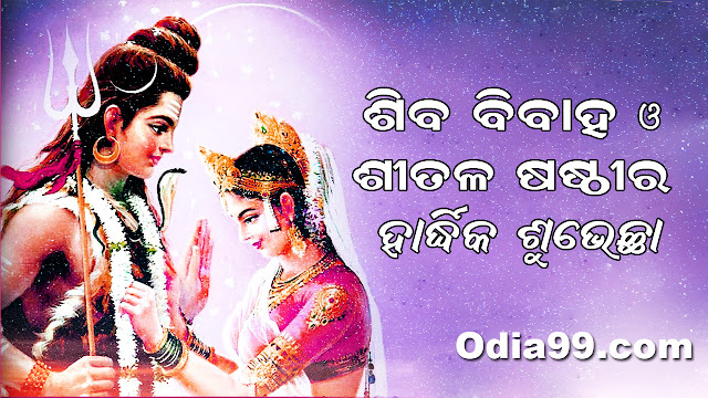 Sambalpur Sitalsasthi Jatra Photo