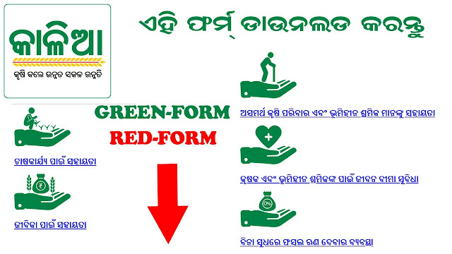 Kalia Yojana Application Form PDF Download Online Red and Green